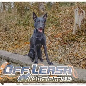 Meet your Posher, Bethany